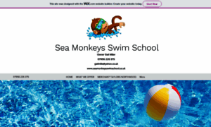 Seamonkeysswimschool.co.uk thumbnail