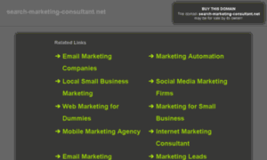 Search-marketing-consultant.net thumbnail