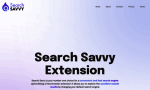 Searchsavvyes.com thumbnail