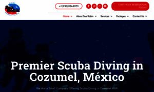 Searobincozumel.com thumbnail