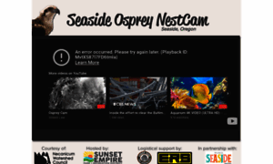 Seasideosprey.org thumbnail