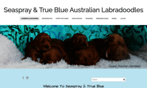 Seasprayaustralianlabradoodles.com thumbnail