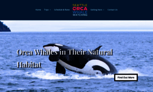 Seattleorcawhalewatching.com thumbnail