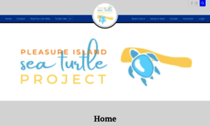 Seaturtleproject.org thumbnail