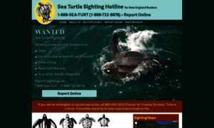 Seaturtlesightings.org thumbnail