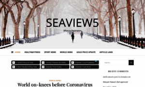 Seaview5.com thumbnail