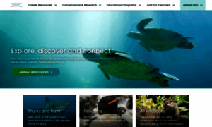 Seaworld.org thumbnail