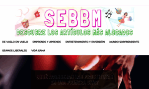 Sebbm.com thumbnail