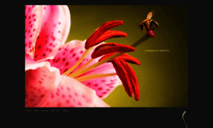 Seedcommdesign.com thumbnail