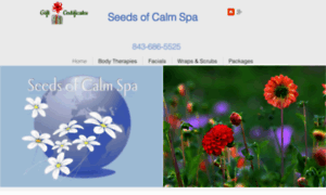 Seedsofcalmspa.com thumbnail