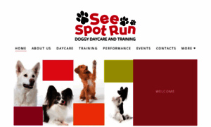 Seespot-run.com thumbnail