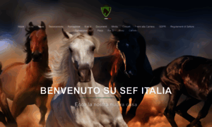 Sef-italia.teamartist.com thumbnail