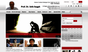 Sefasaygili.com thumbnail