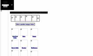 Segwaycollection.com thumbnail