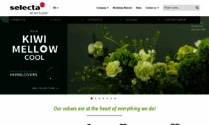 Selectacutflowers.com thumbnail