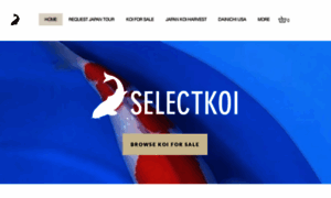 Selectkoi.com thumbnail