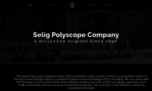 Seligpolyscope.com thumbnail
