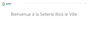 Sellerie-de-bois-le-ville.fr thumbnail
