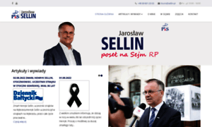 Sellin.pl thumbnail