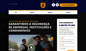 Seltec.com.br thumbnail