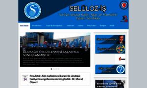 Selulozis.org.tr thumbnail