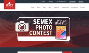 Semex.com thumbnail