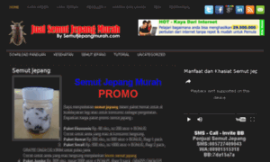 Semutjepangmurah.com thumbnail