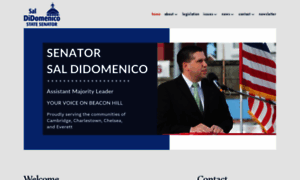 Senatordidomenico.com thumbnail