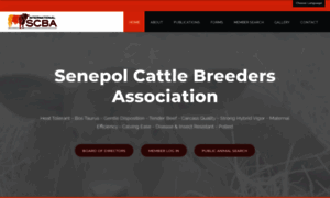 Senepolcattle.com thumbnail