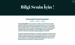 Seninicinbilgi.wordpress.com thumbnail