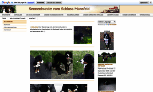 Sennenhunde-schloss-mansfeld.de thumbnail