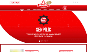 Senpilic.com.tr thumbnail