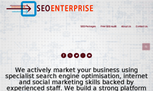 Seo-enterprise.com thumbnail