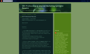 Seo-pro-resume.blogspot.com thumbnail