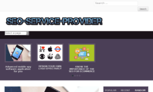 Seo-service-provider.com thumbnail