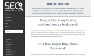 Seo.muratdinc.com thumbnail