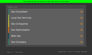 Seo101.net thumbnail