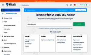 Seoanaliz.seolog.com.tr thumbnail