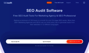 Seoaudit.software thumbnail