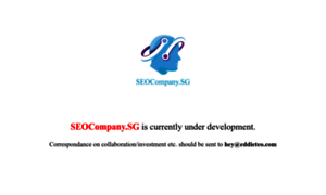 Seocompany.sg thumbnail