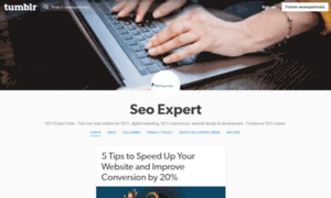 Seoexpertindia.net thumbnail