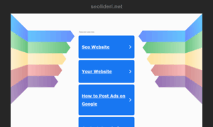 Seolideri.net thumbnail