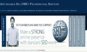 Seoprofessionalservices.net thumbnail