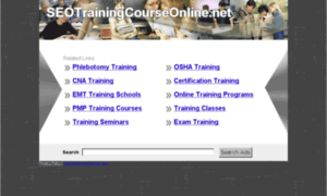 Seotrainingcourseonline.net thumbnail