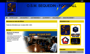 Sequedin-foot.com thumbnail