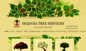 Sequoiatreeservices.net thumbnail