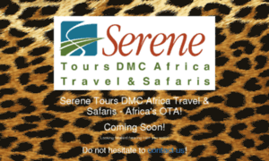 Serene-dmc-africa.com thumbnail