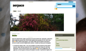 Serpace.wordpress.com thumbnail