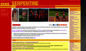 Serpentine.org.uk thumbnail