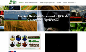Servicederemplacementgers.fr thumbnail